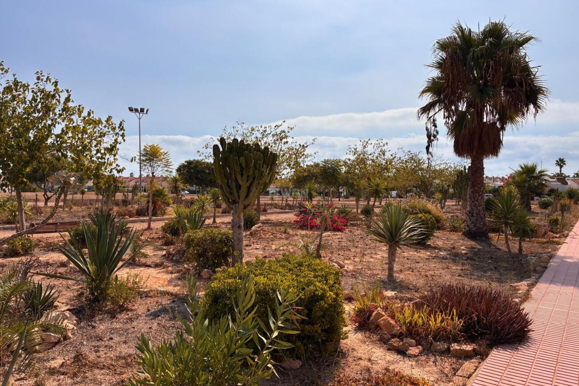 Resale - Apartment / flat - Los Almendros (Orihuela-Costa) - Costa Blanca