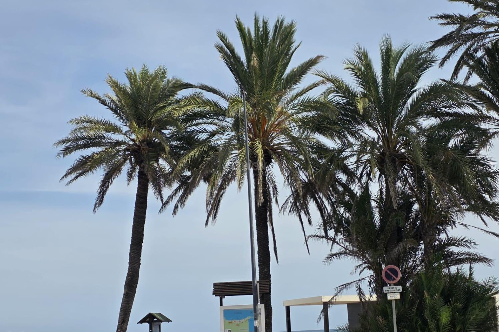 Resale - Apartment / flat - Orihuela Costa - Altos De Campoamor