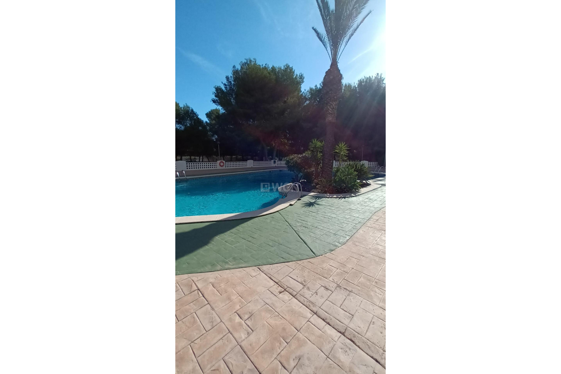 Resale - Apartment / flat - Orihuela Costa - Campoamor