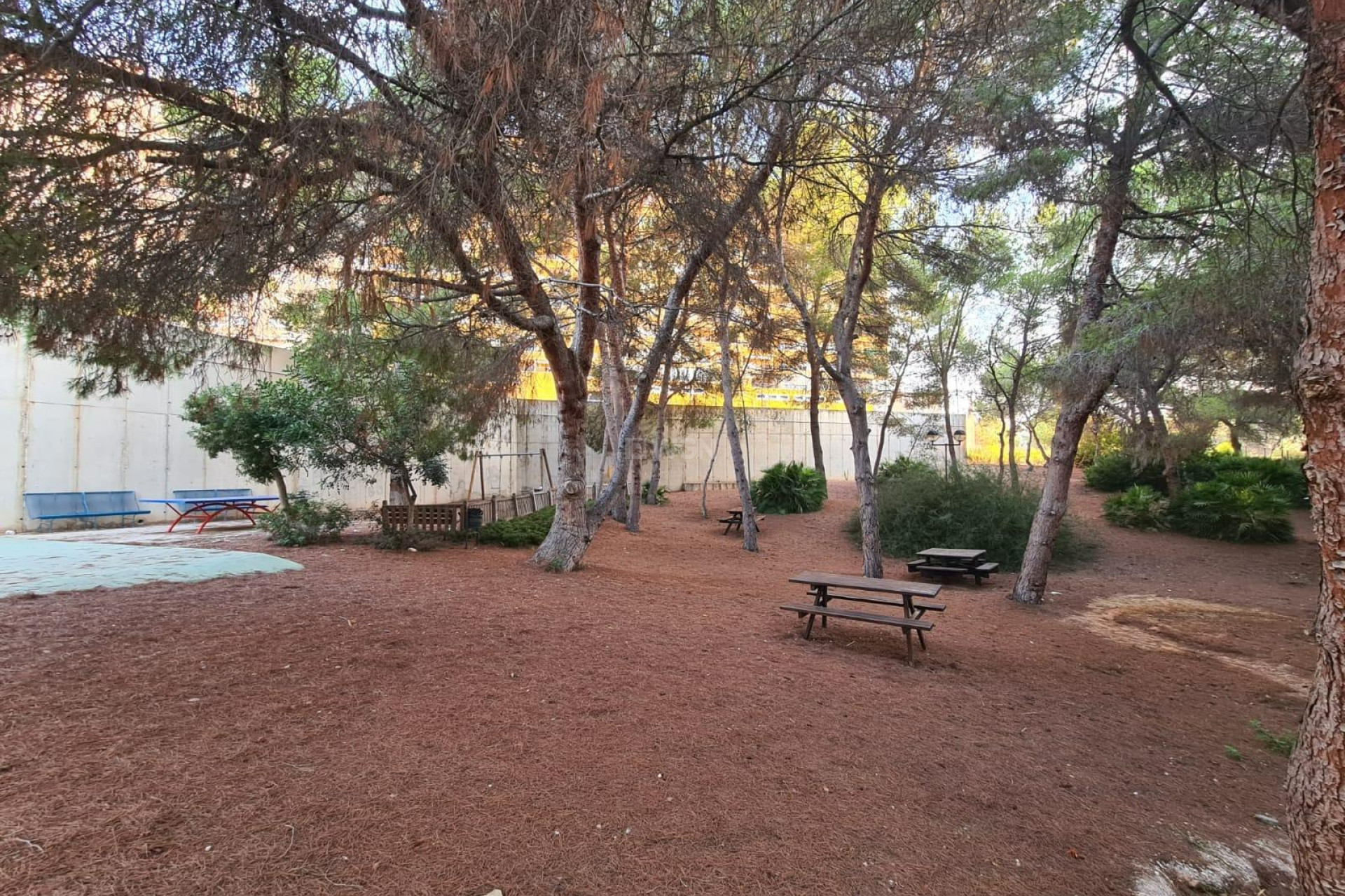 Resale - Apartment / flat - Orihuela Costa - Campoamor