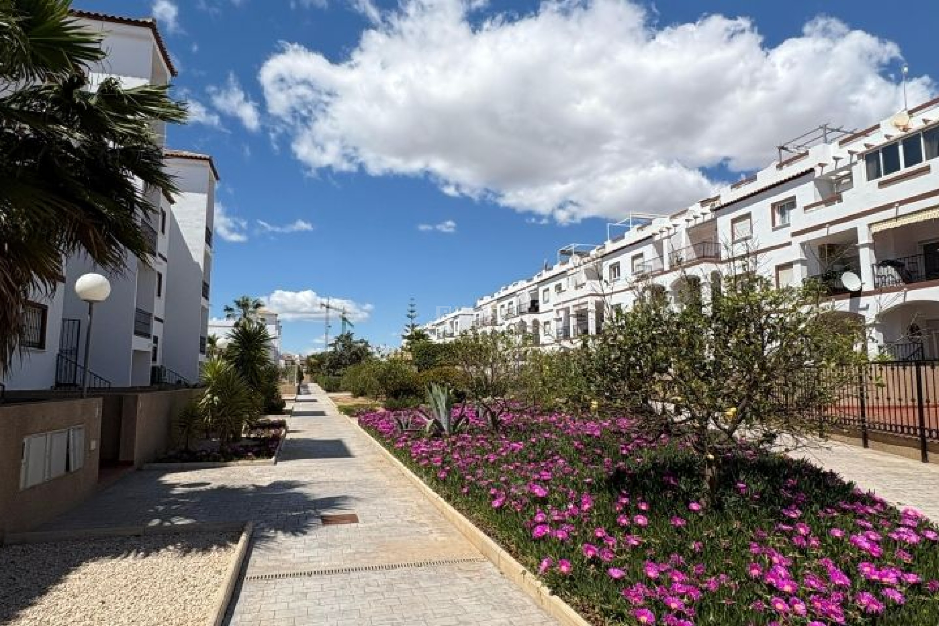 Resale - Apartment / flat - Orihuela Costa - Costa Blanca