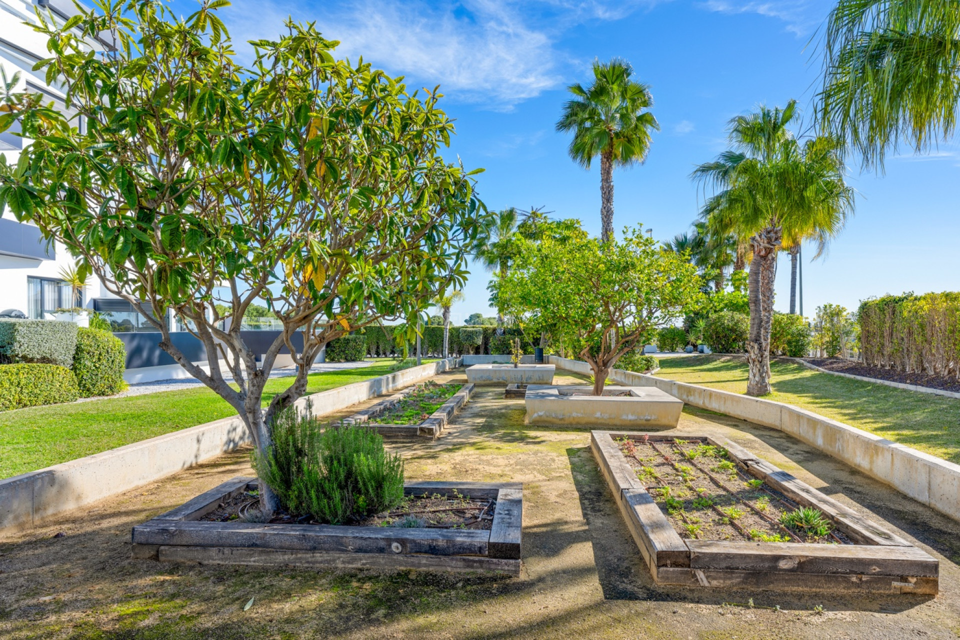 Resale - Apartment / flat - Orihuela Costa - Costa Blanca