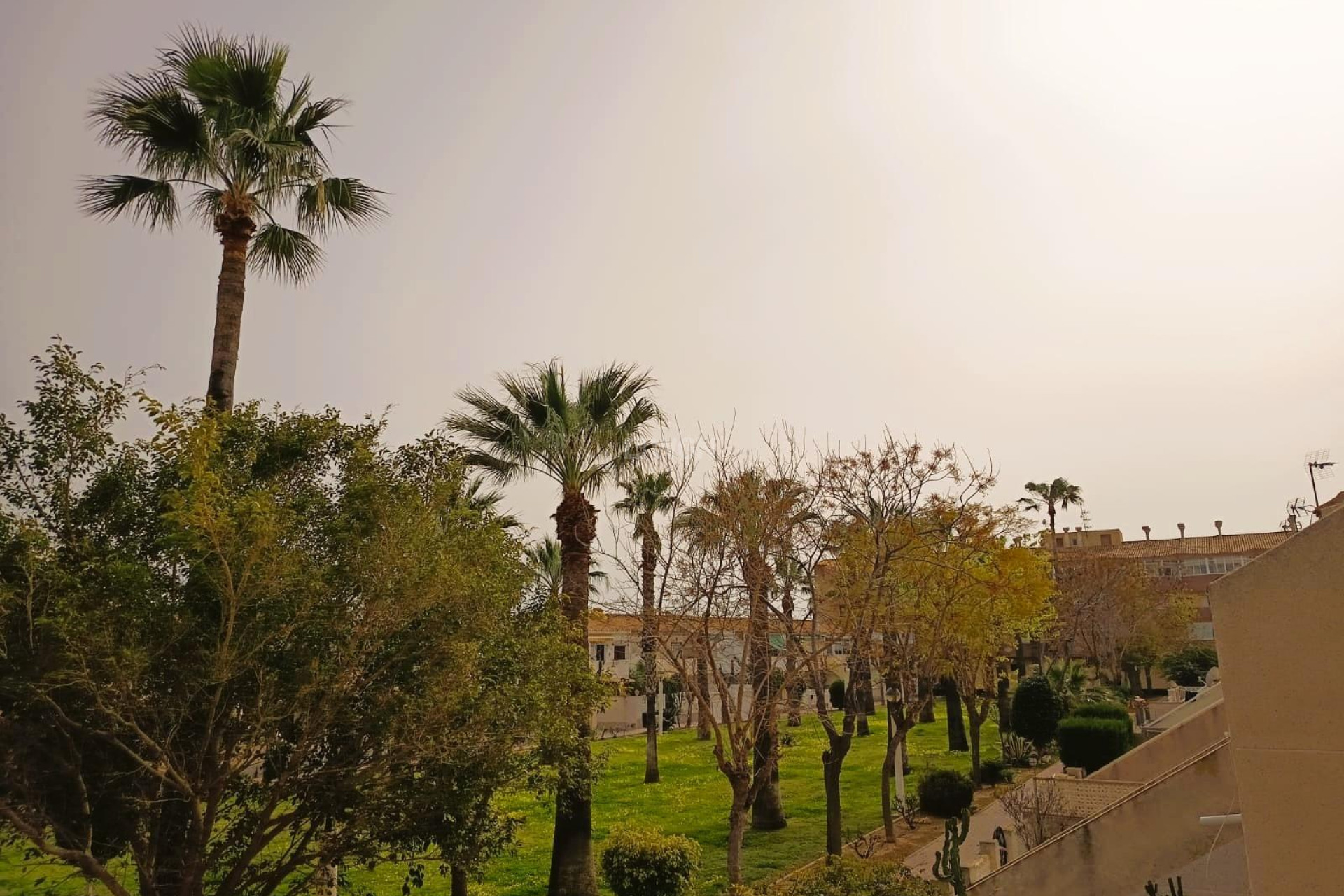 Resale - Apartment / flat - Orihuela Costa - Costa Blanca