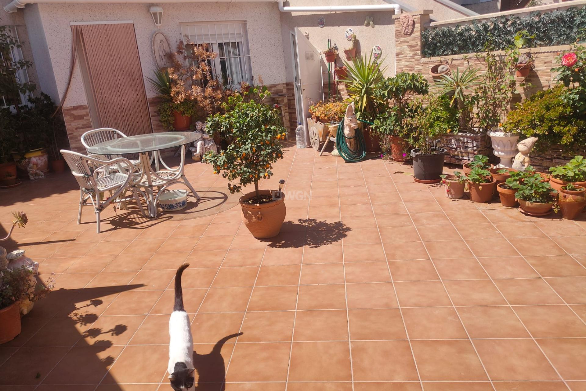 Resale - Apartment / flat - Orihuela Costa - La Regia