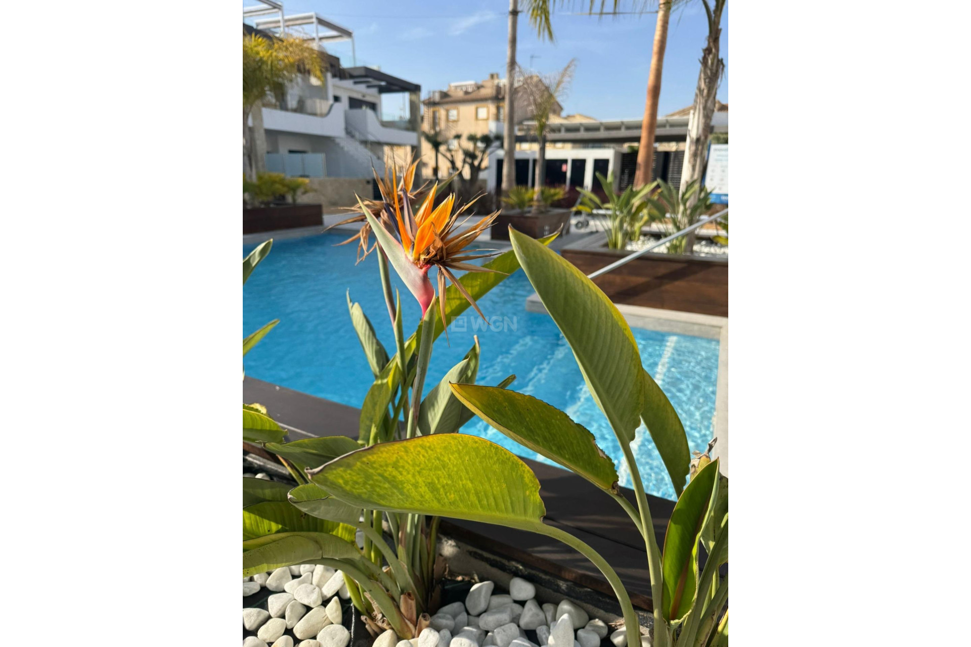 Resale - Apartment / flat - Orihuela Costa - Rocio Del Mar