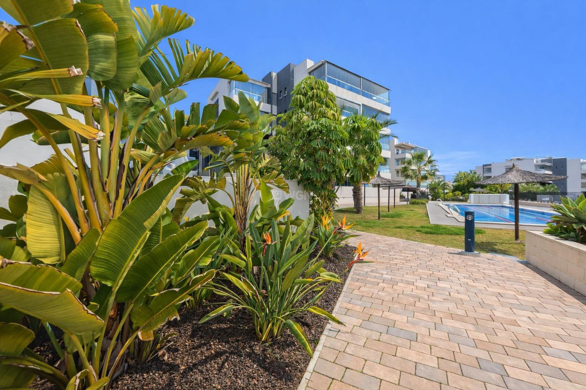 Resale - Apartment / flat - Orihuela Costa - Villamartín