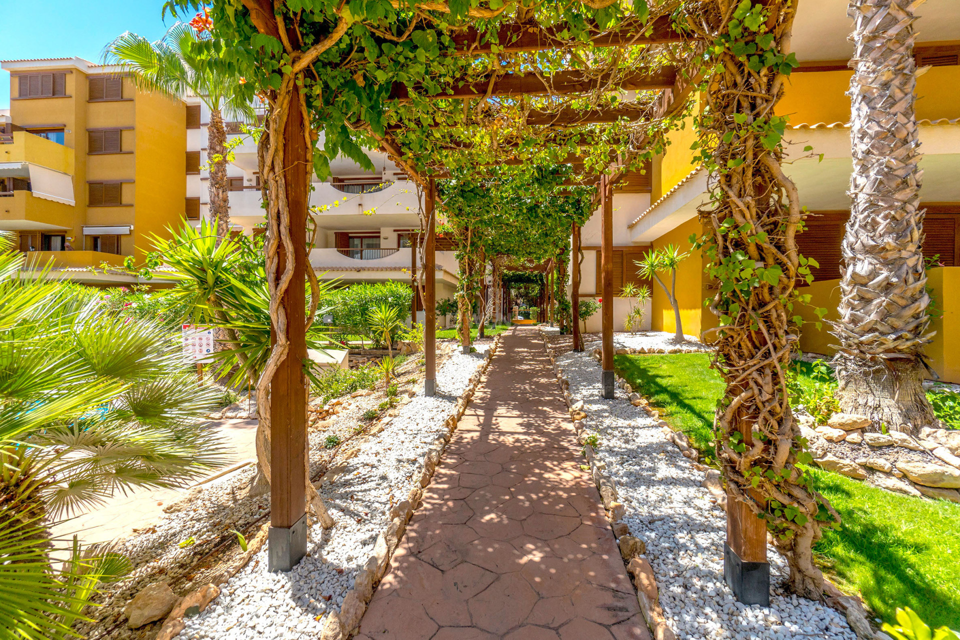 Resale - Apartment / flat - Punta Prima - Costa Blanca