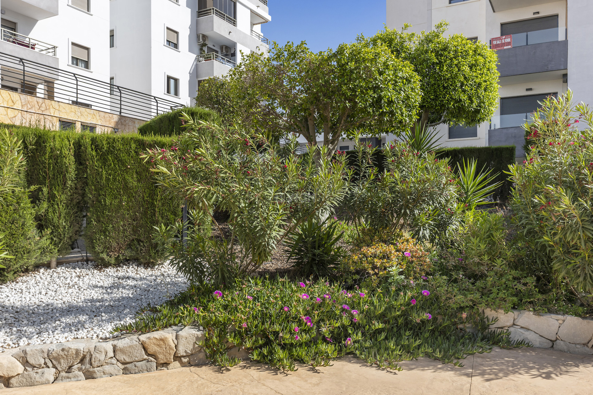 Resale - Apartment / flat - San Miguel de Salinas - Inland