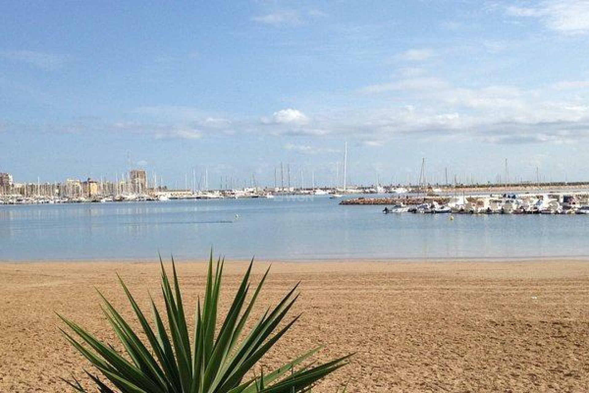 Resale - Apartment / flat - Torrevieja - Acequion