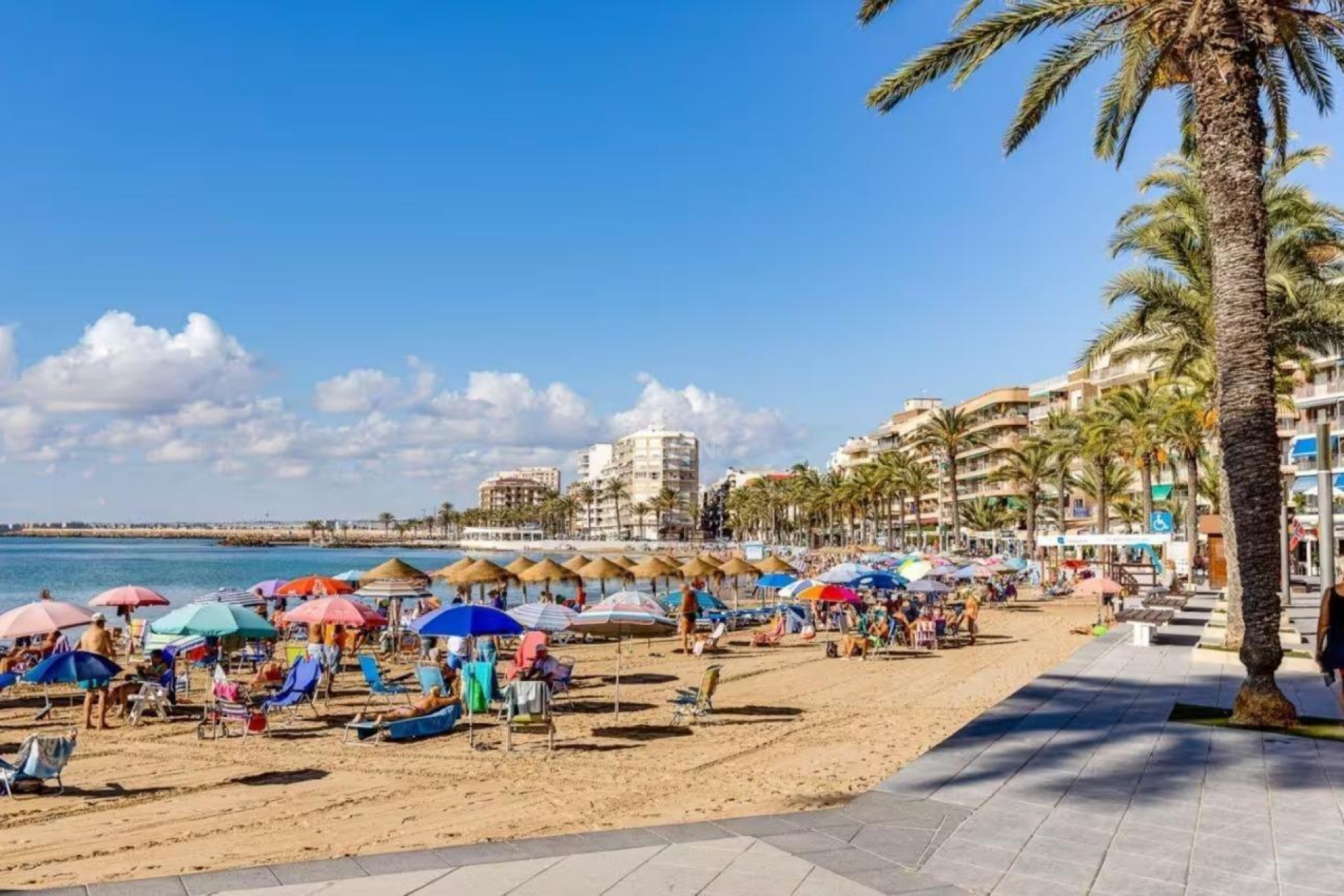 Resale - Apartment / flat - Torrevieja - Centro