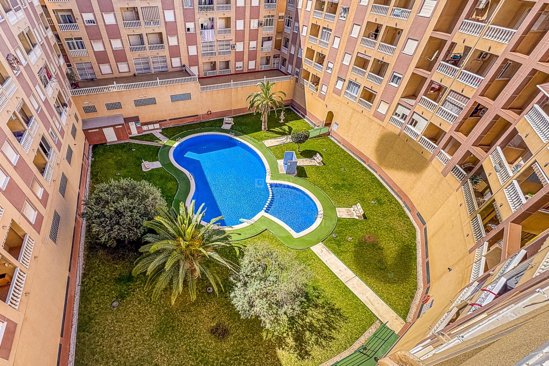 Resale - Apartment / flat - Torrevieja - Costa Blanca