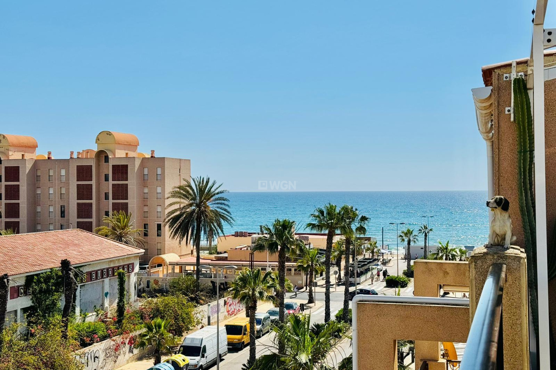 Resale - Apartment / flat - Torrevieja - Costa Blanca