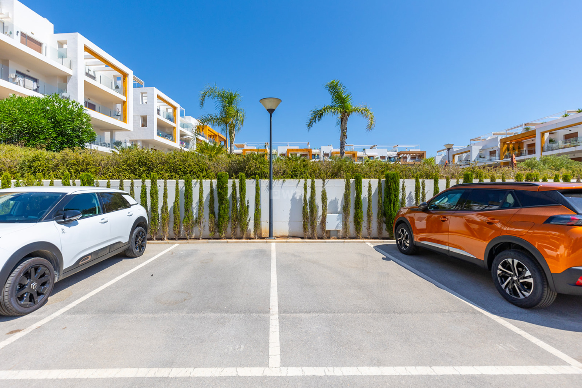 Resale - Apartment / flat - Torrevieja - Costa Blanca