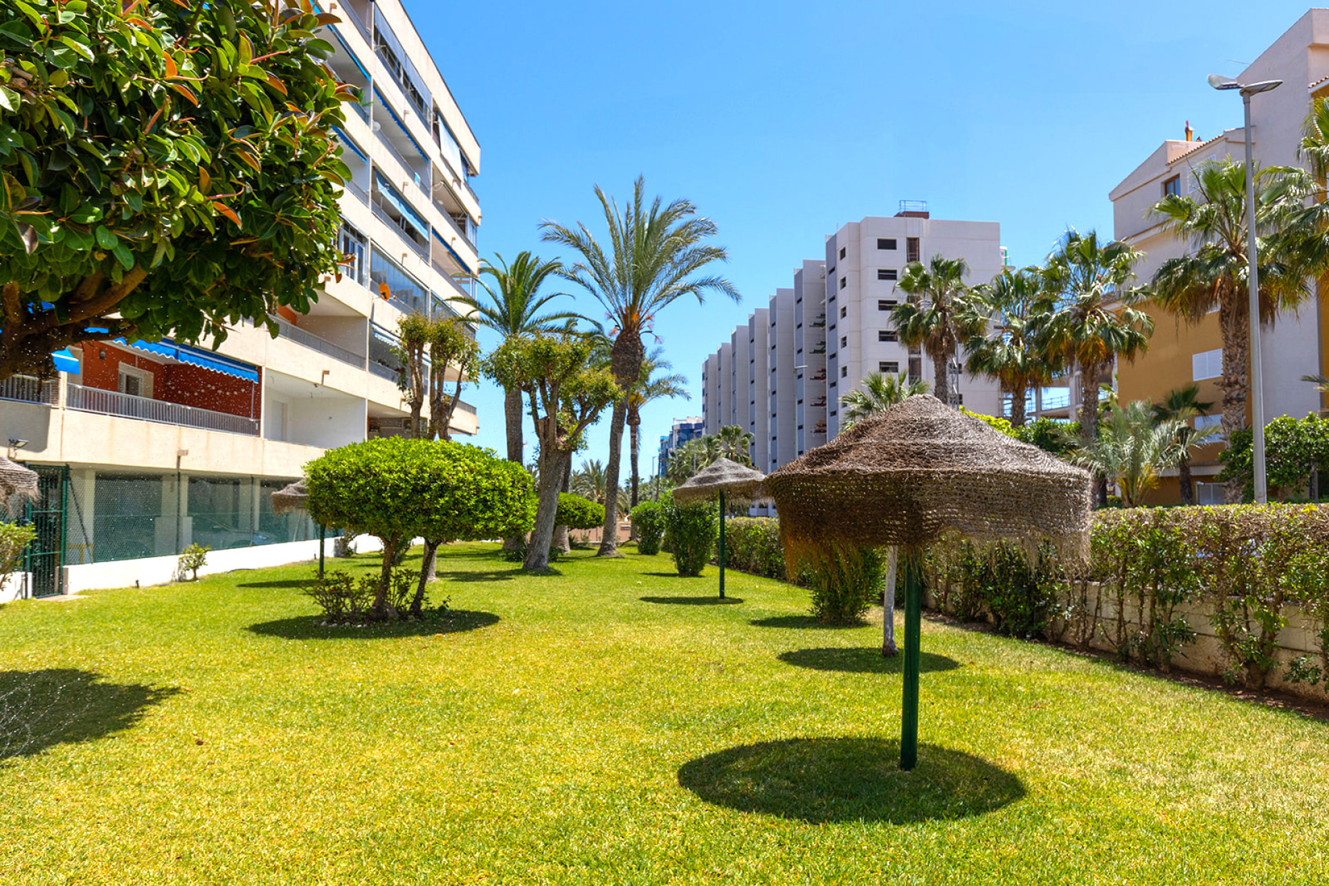 Resale - Apartment / flat - Torrevieja - Costa Blanca