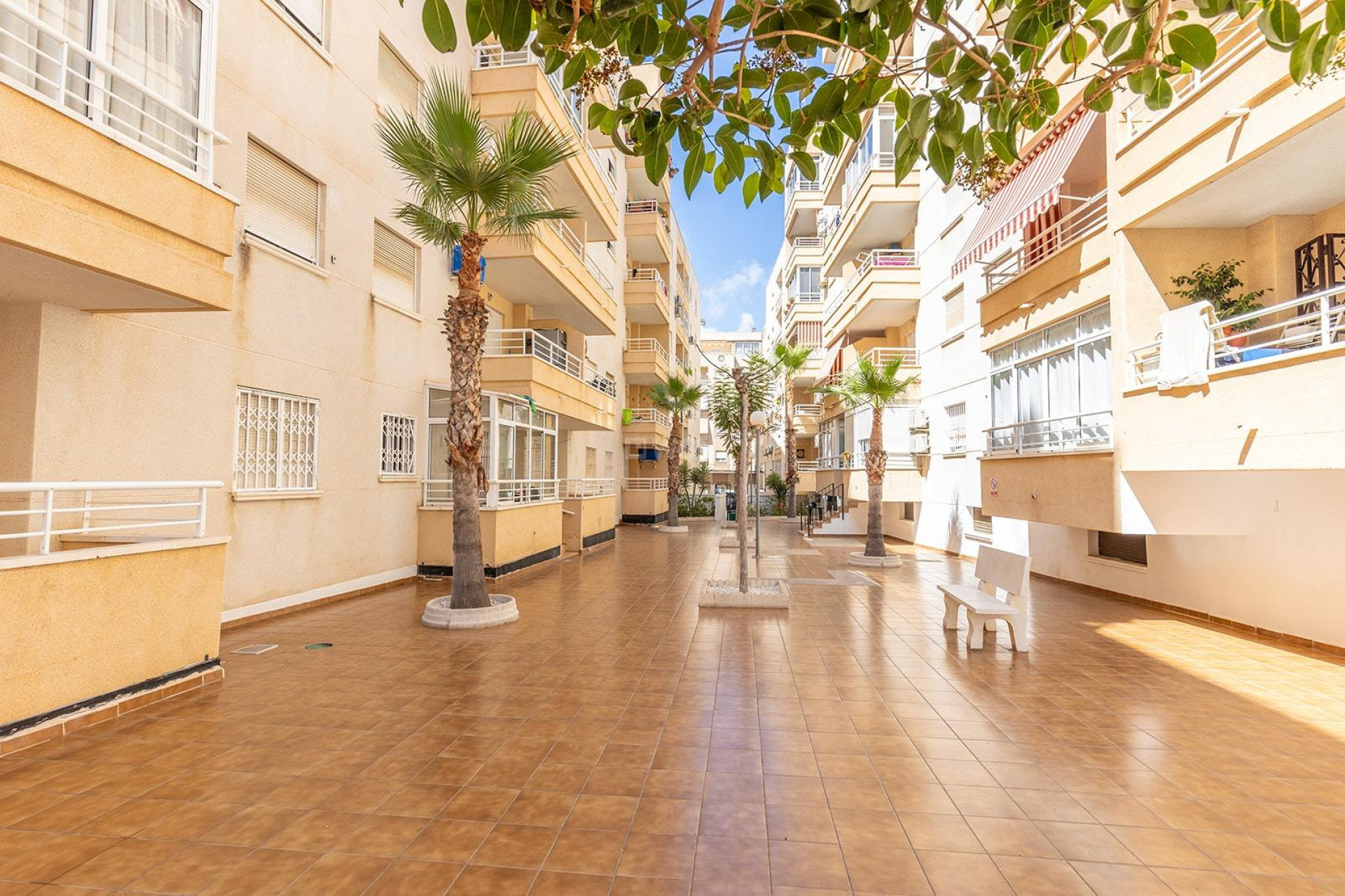 Resale - Apartment / flat - Torrevieja - Estacion De Autobuses