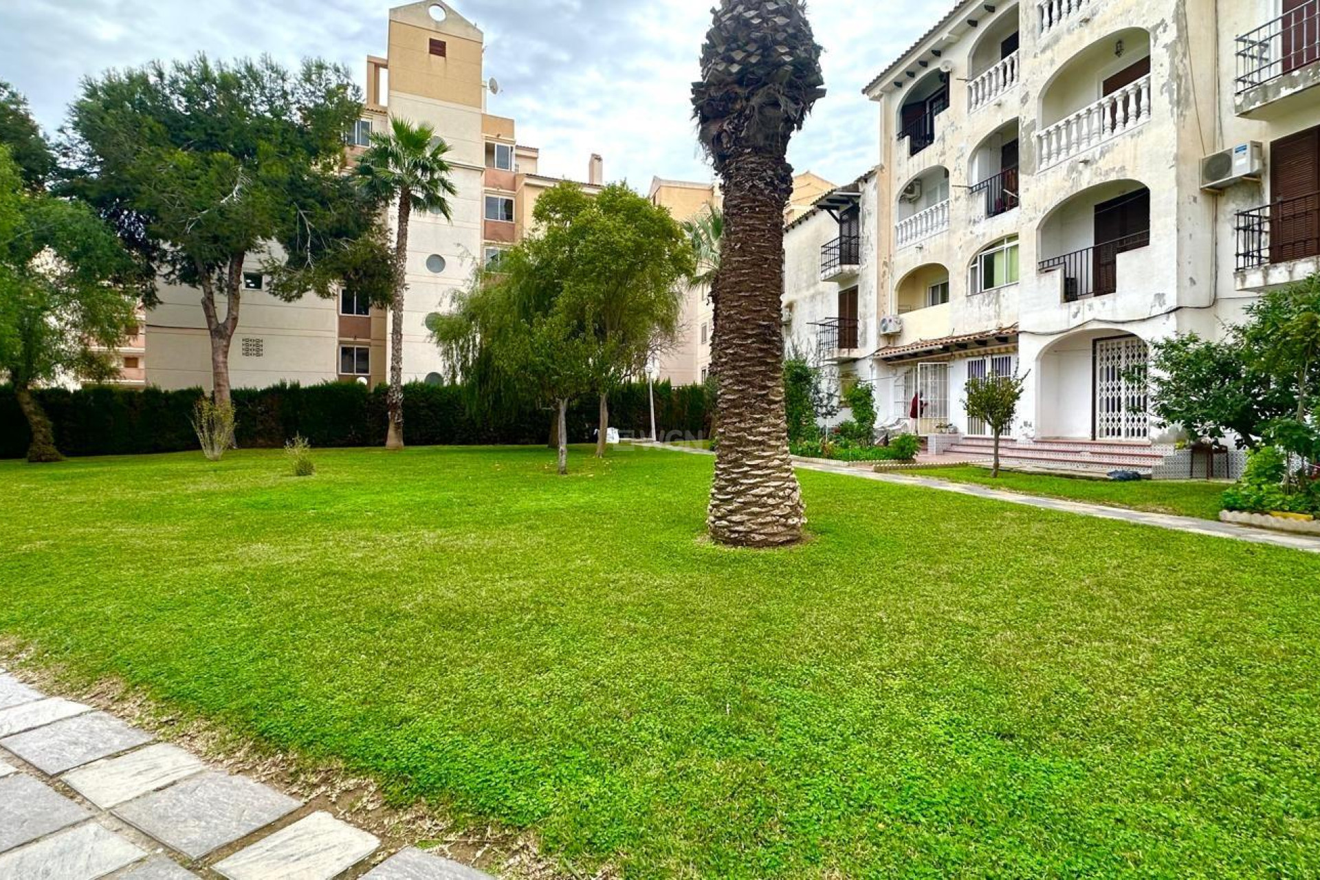 Resale - Apartment / flat - Torrevieja - Estacion De Autobuses