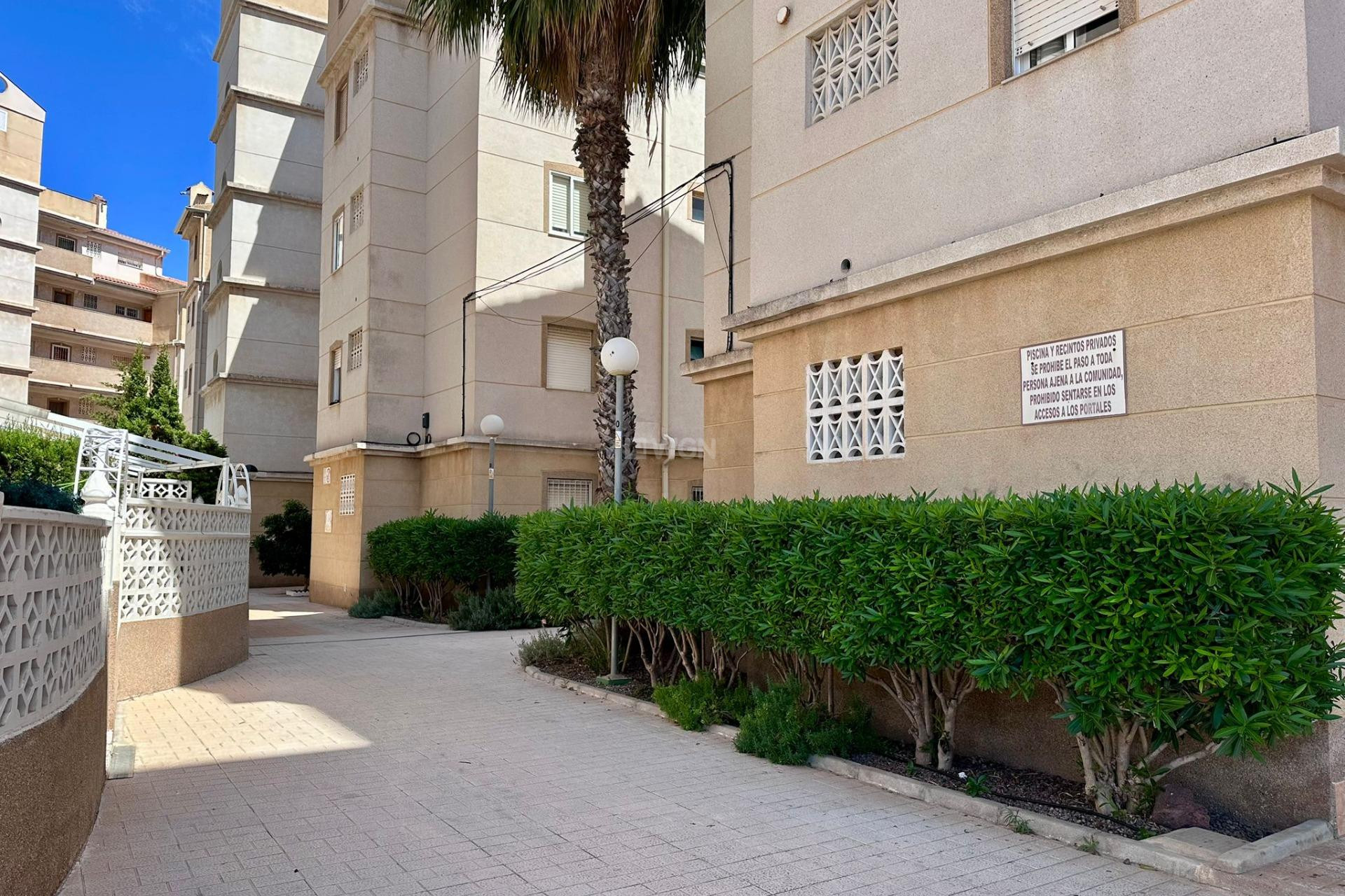 Resale - Apartment / flat - Torrevieja - Habaneras