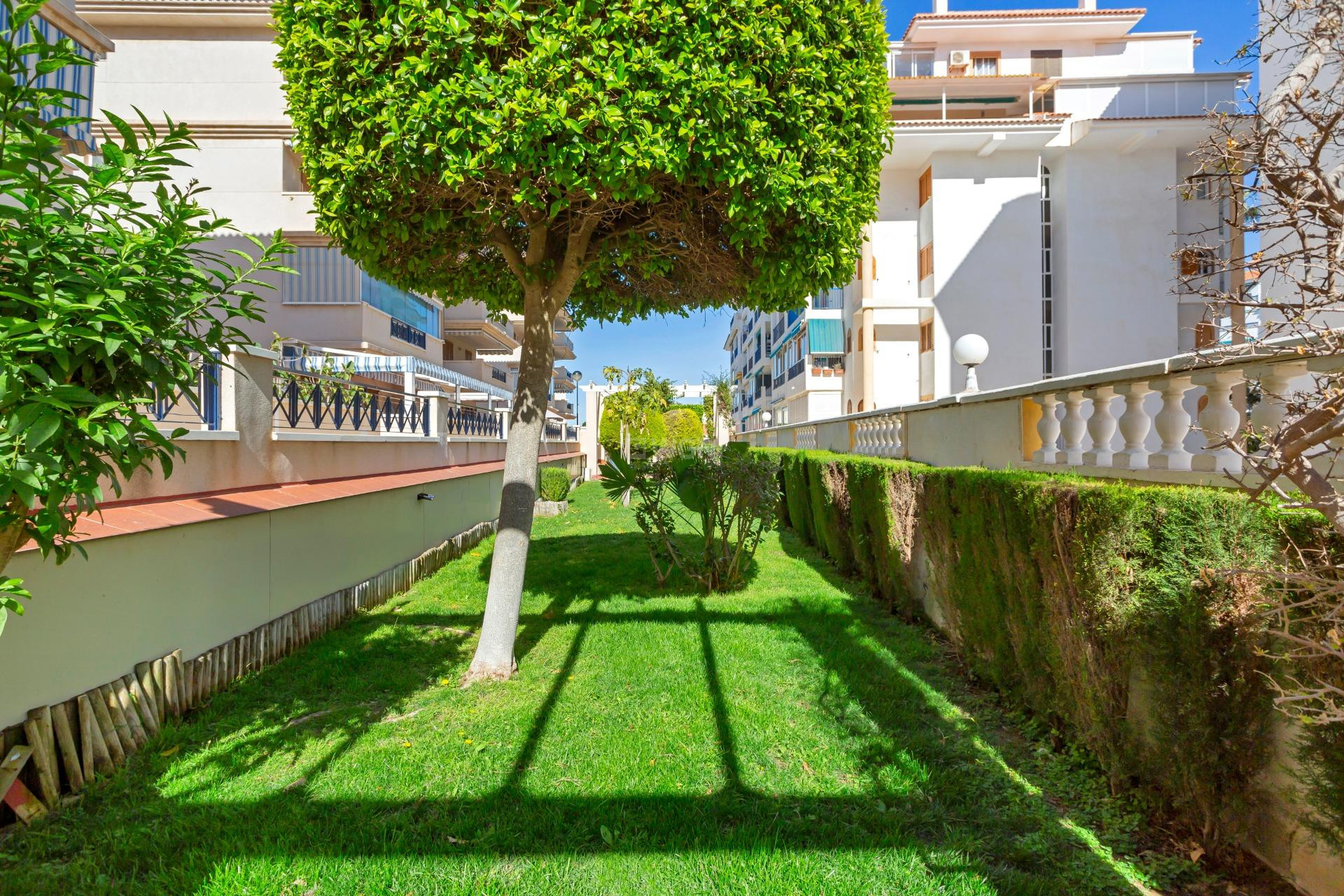 Resale - Apartment / flat - Torrevieja - La Mata