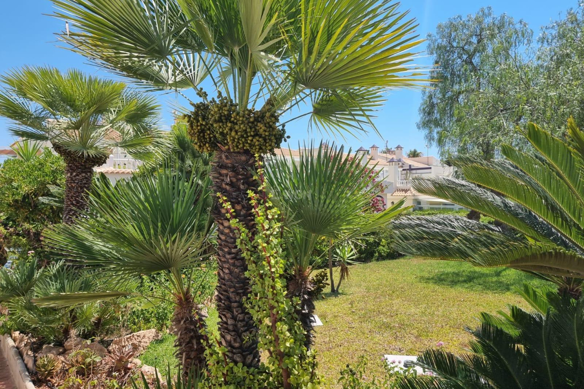 Resale - Apartment / flat - Torrevieja - Los Balcones - Los Altos del Edén