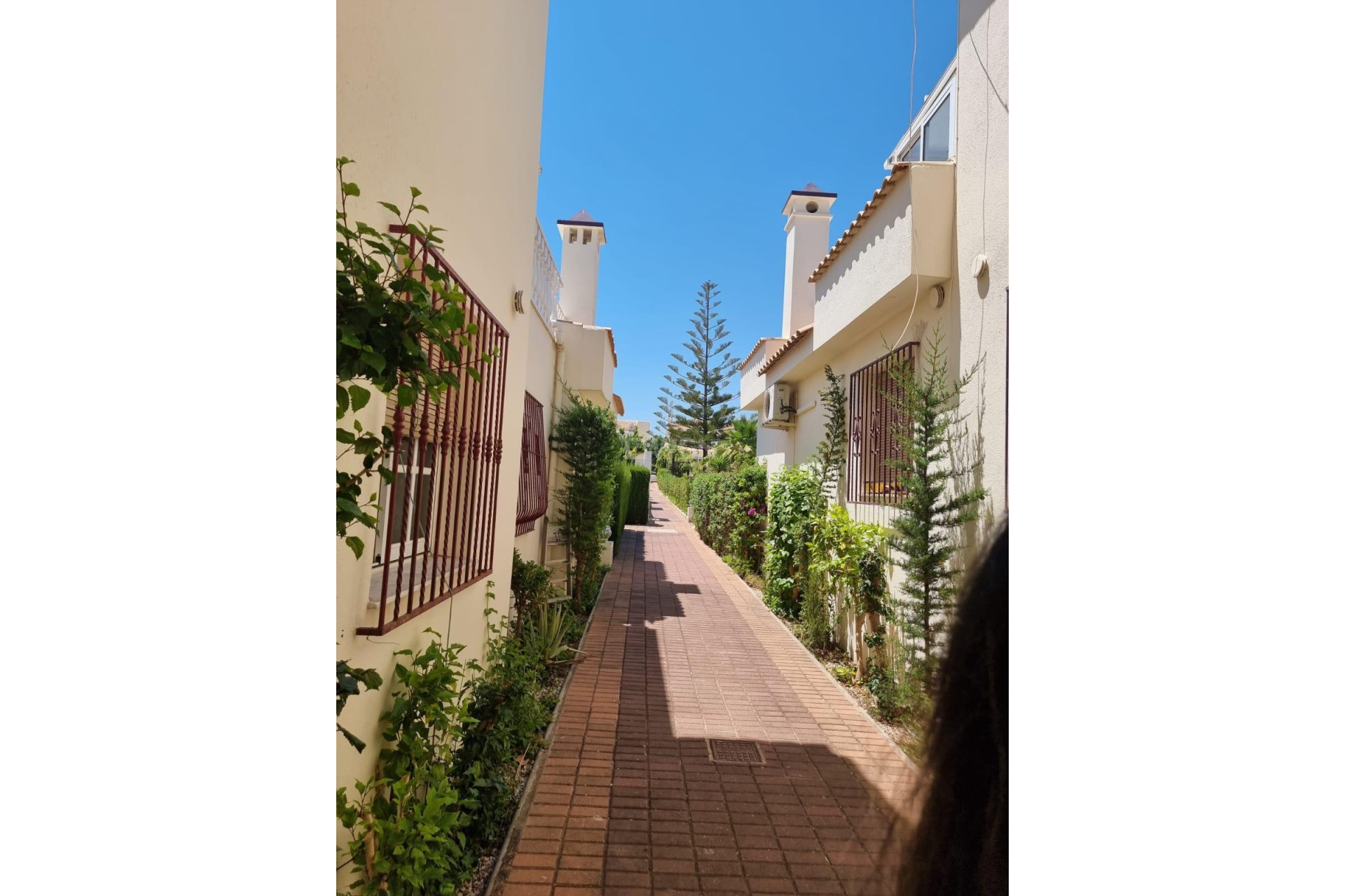 Resale - Apartment / flat - Torrevieja - Los Balcones - Los Altos del Edén