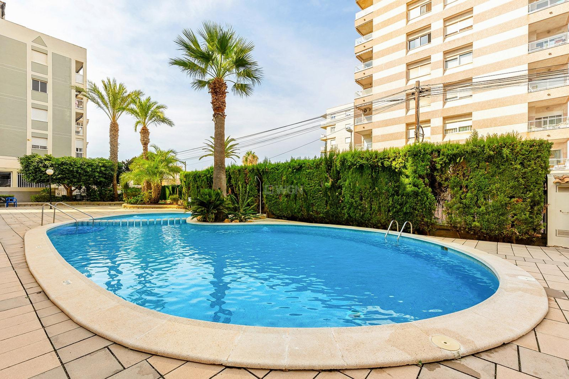 Resale - Apartment / flat - Torrevieja - Nueva Torrevieja