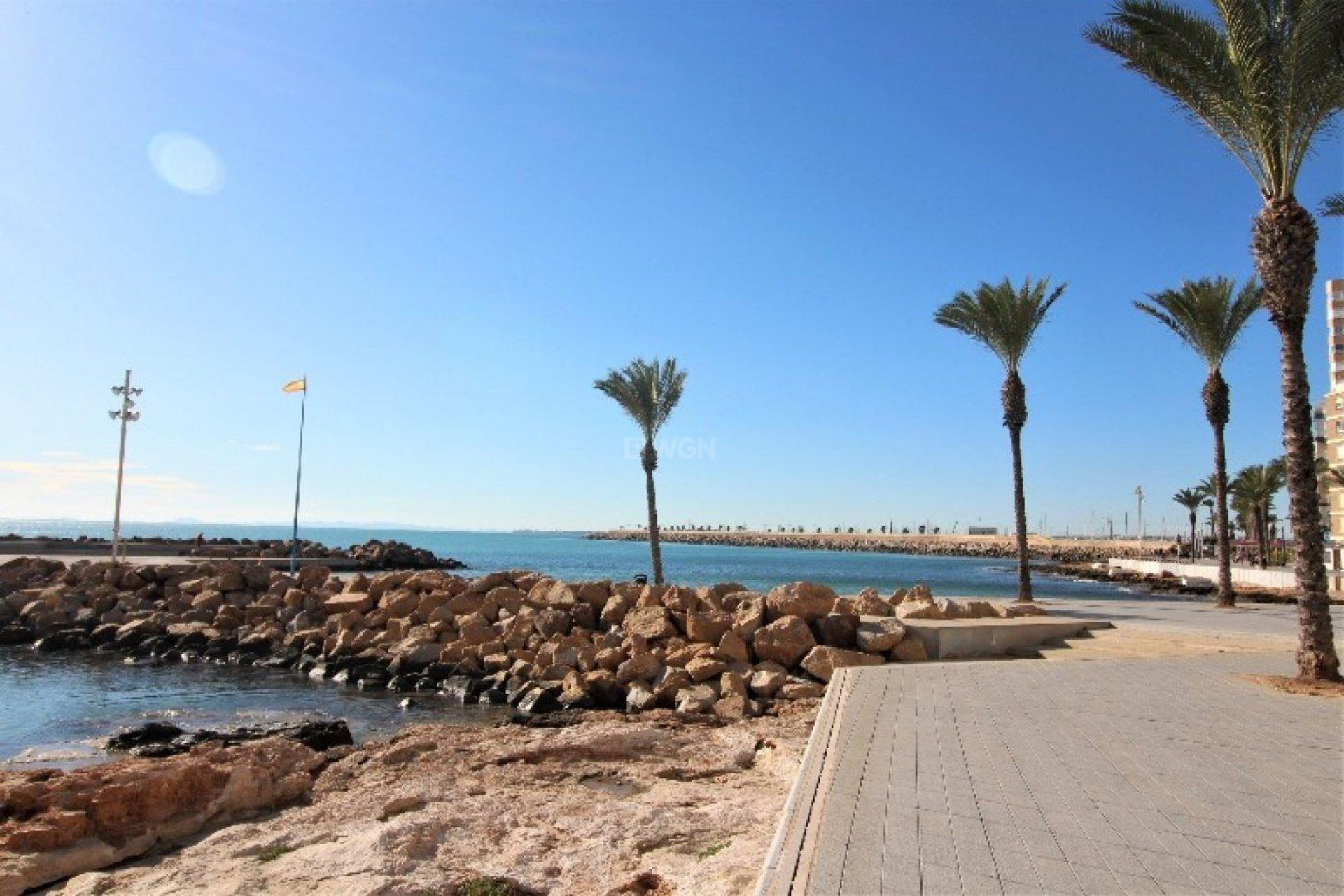 Resale - Apartment / flat - Torrevieja - Paseo Maritimo