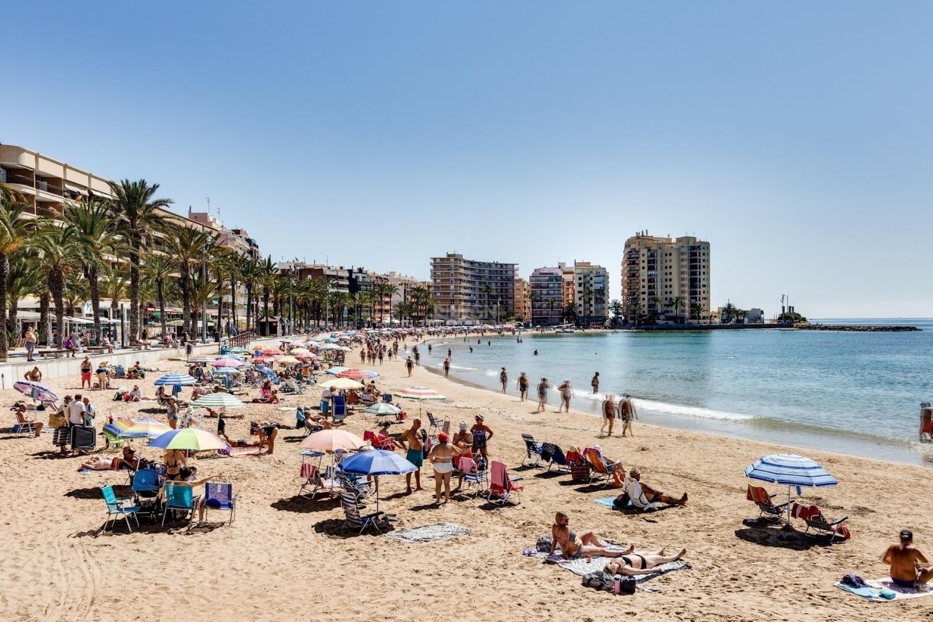 Resale - Apartment / flat - Torrevieja - Playa del Cura
