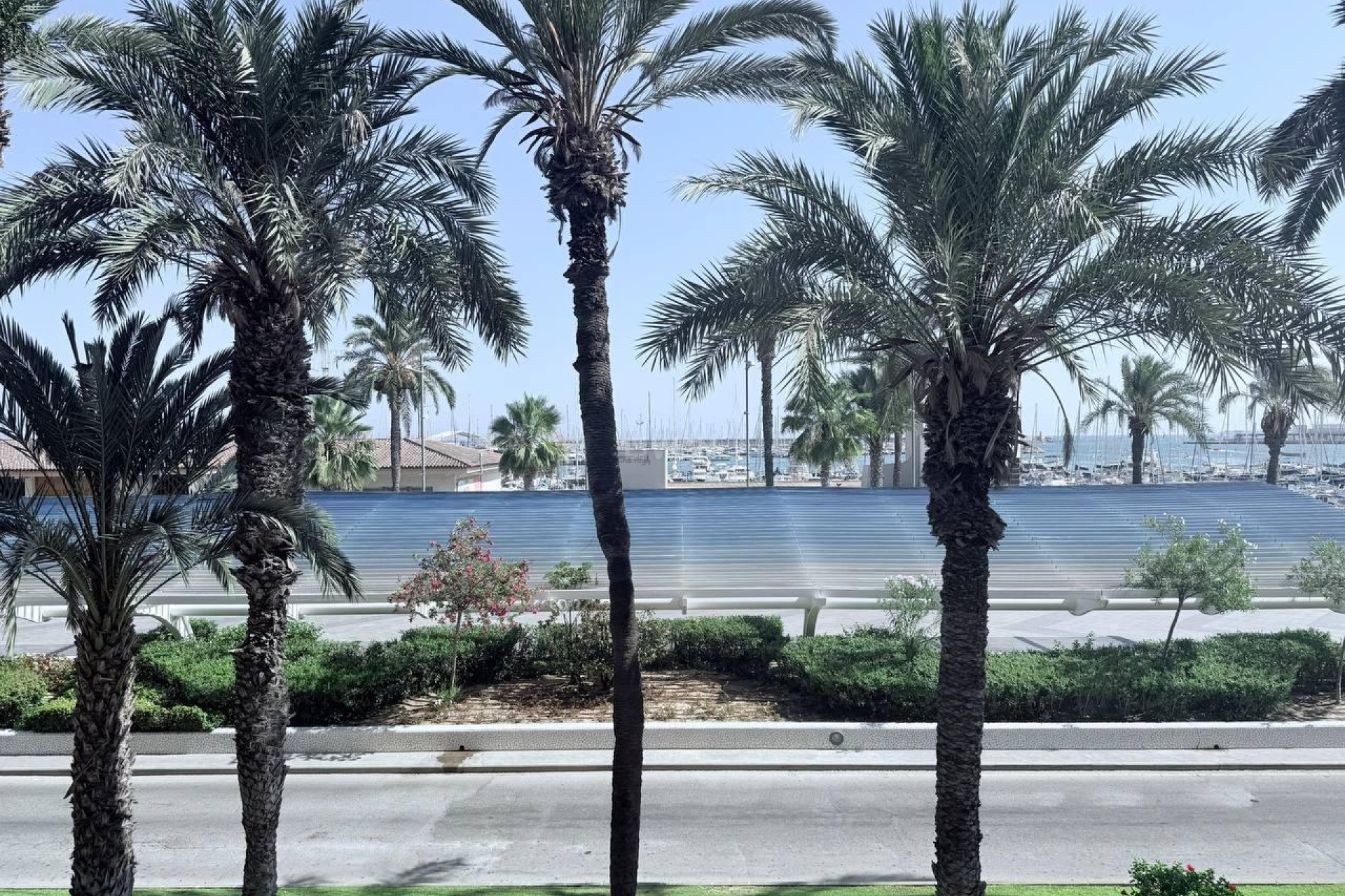 Resale - Apartment / flat - Torrevieja - Puerto