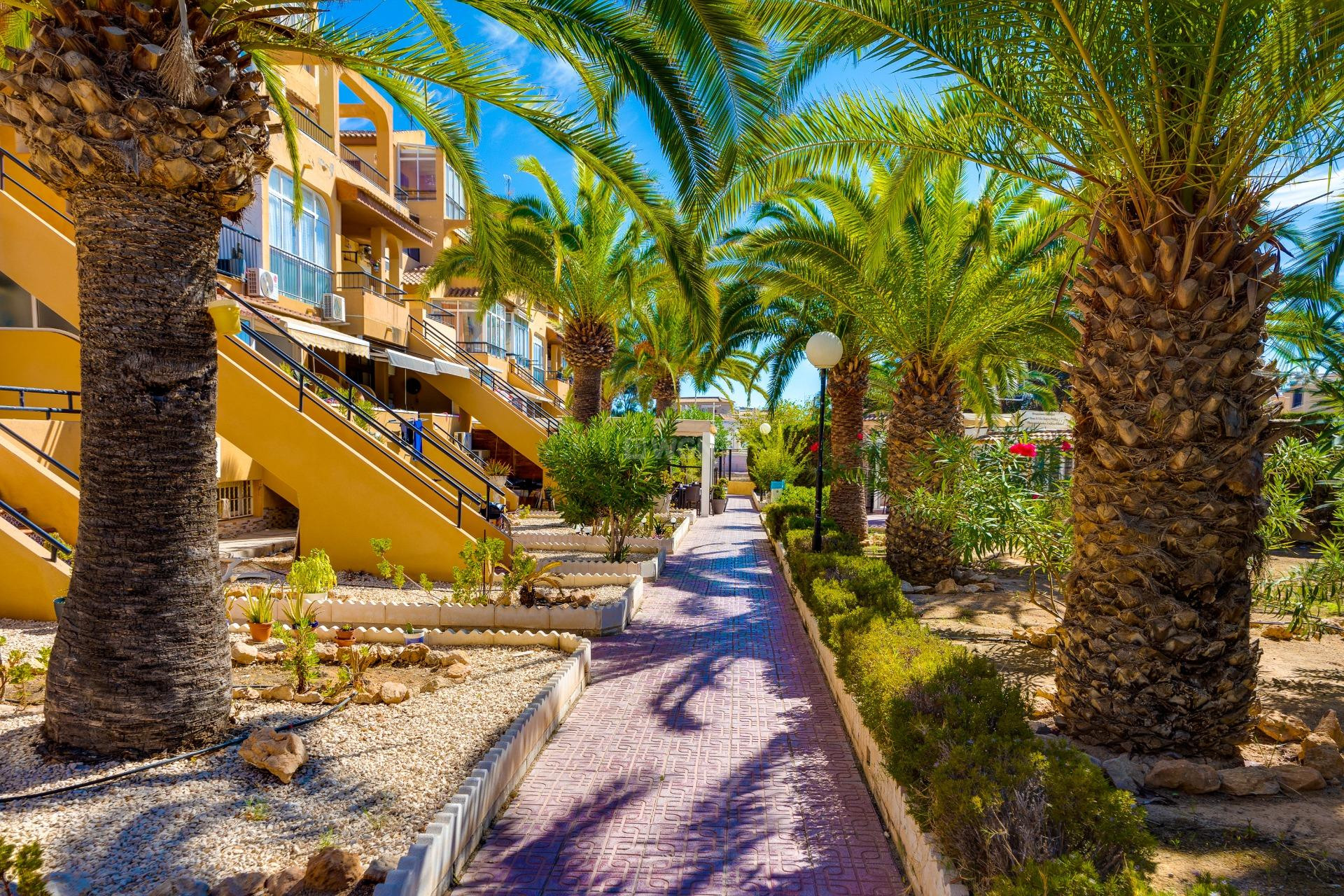 Resale - Apartment / flat - Torrevieja - Torreblanca