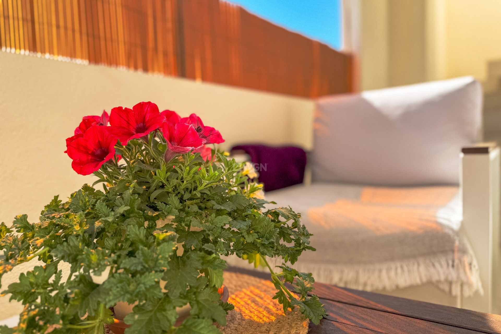 Resale - Bungalow - Los Altos - Costa Blanca