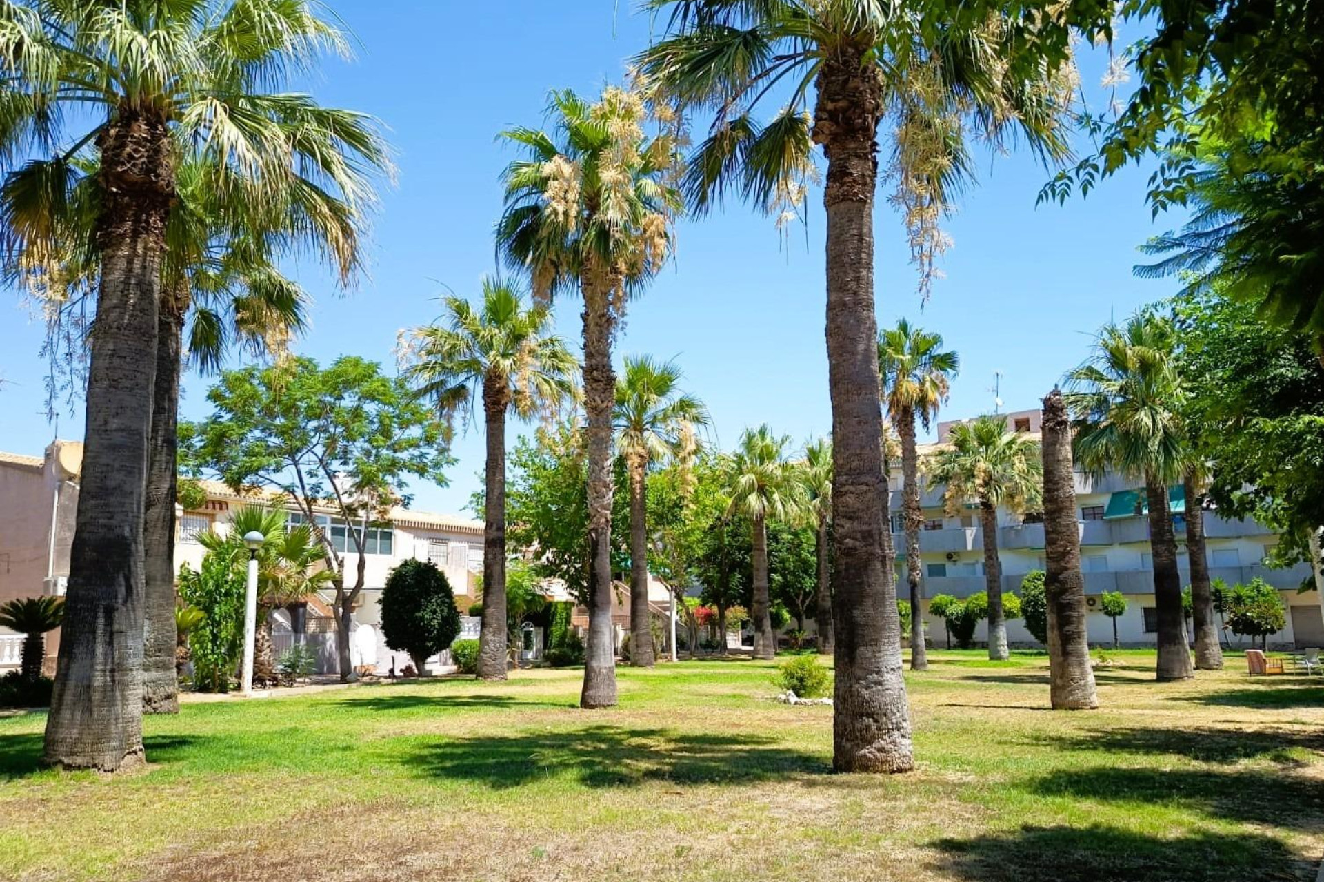 Resale - Bungalow - Orihuela Costa - Costa Blanca