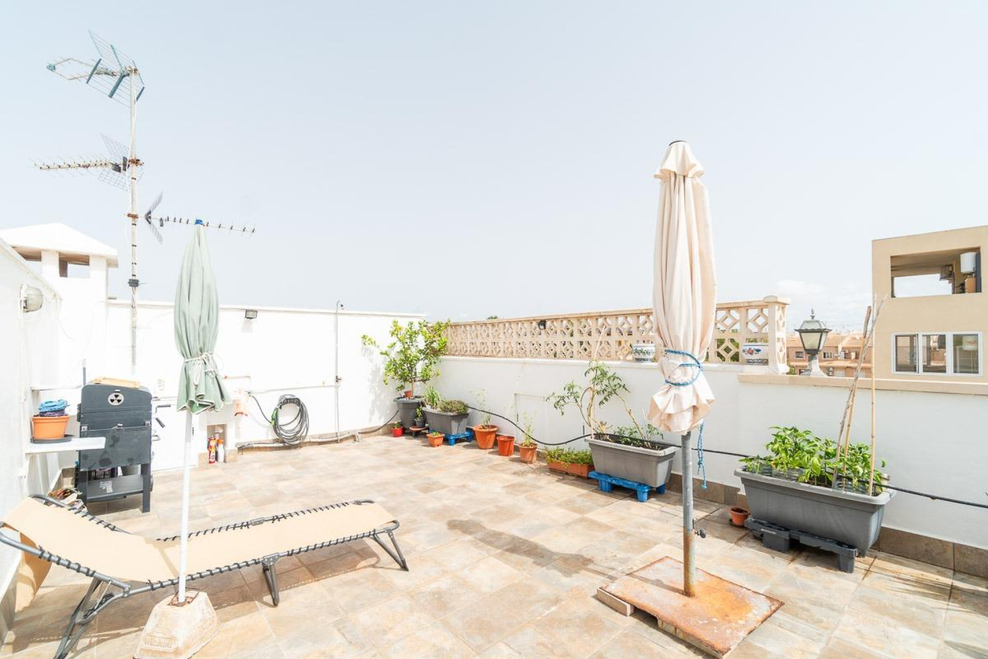 Resale - Bungalow - Orihuela Costa - La Zenia