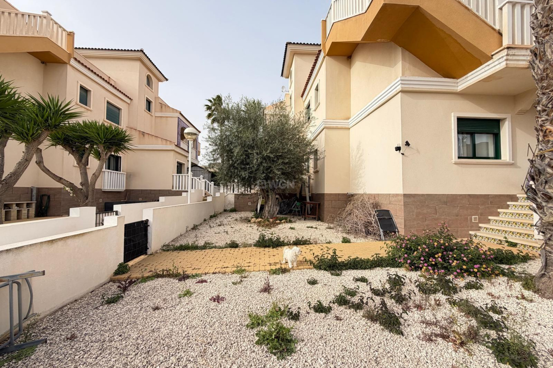 Resale - Bungalow - Rojales - Doña Pepa