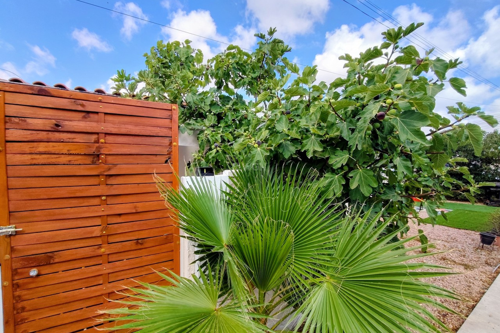 Resale - Bungalow - Torrevieja - Costa Blanca