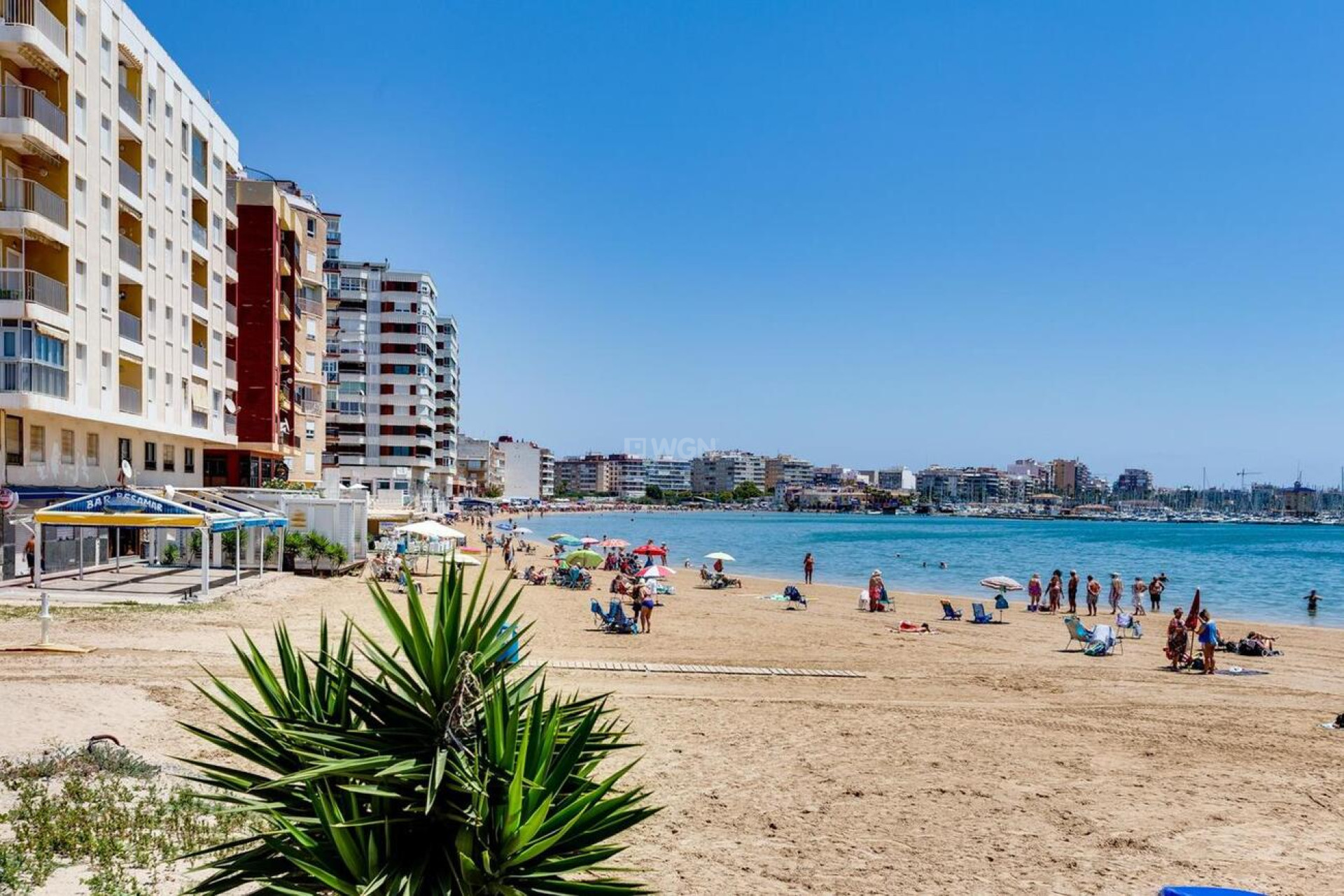 Resale - Bungalow - Torrevieja - PARQUE DE LAS NACIONES