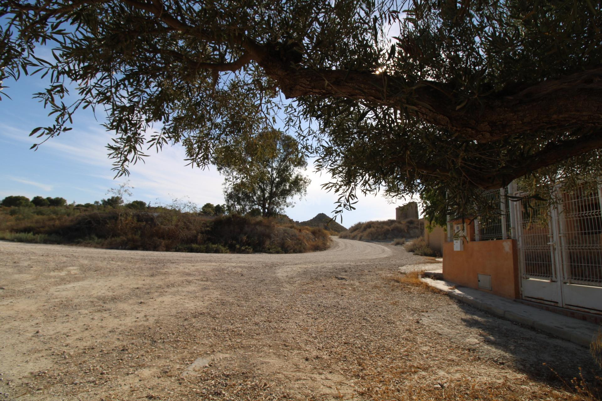 Resale - Casa con terreno - Murcia - Cañadas de San Pedro