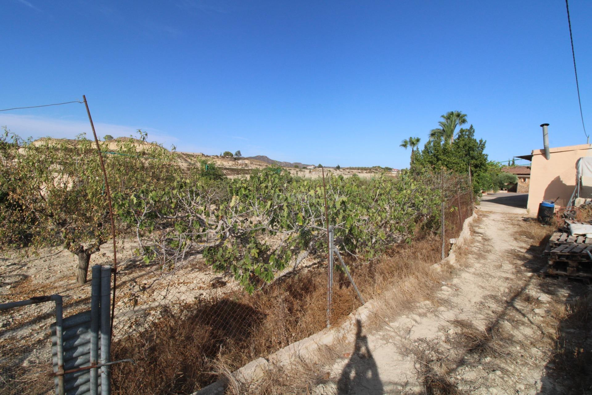 Resale - Casa con terreno - Murcia - Cañadas de San Pedro