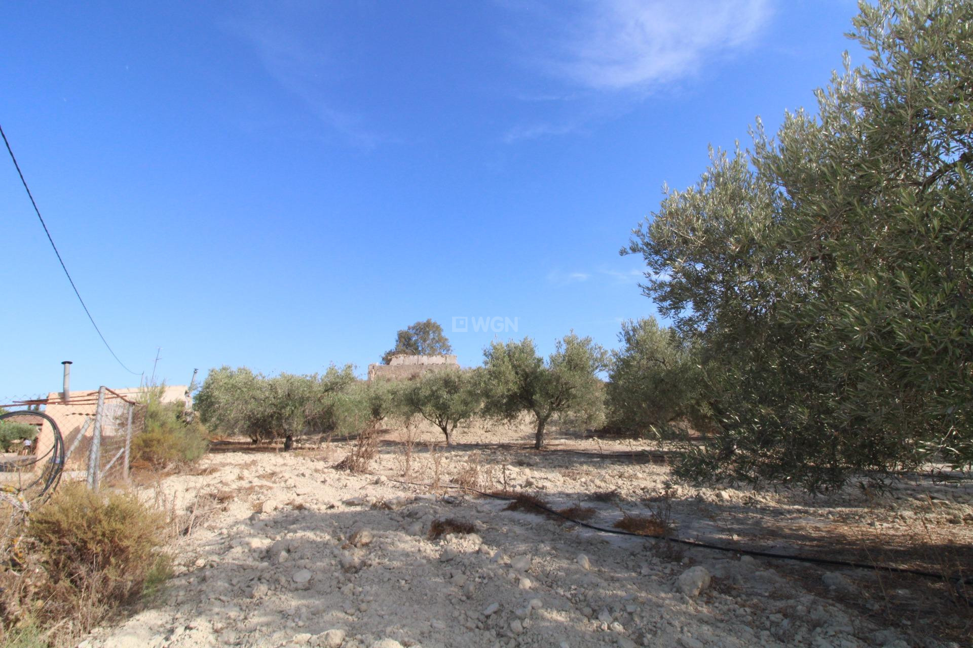Resale - Casa con terreno - Murcia - Cañadas de San Pedro
