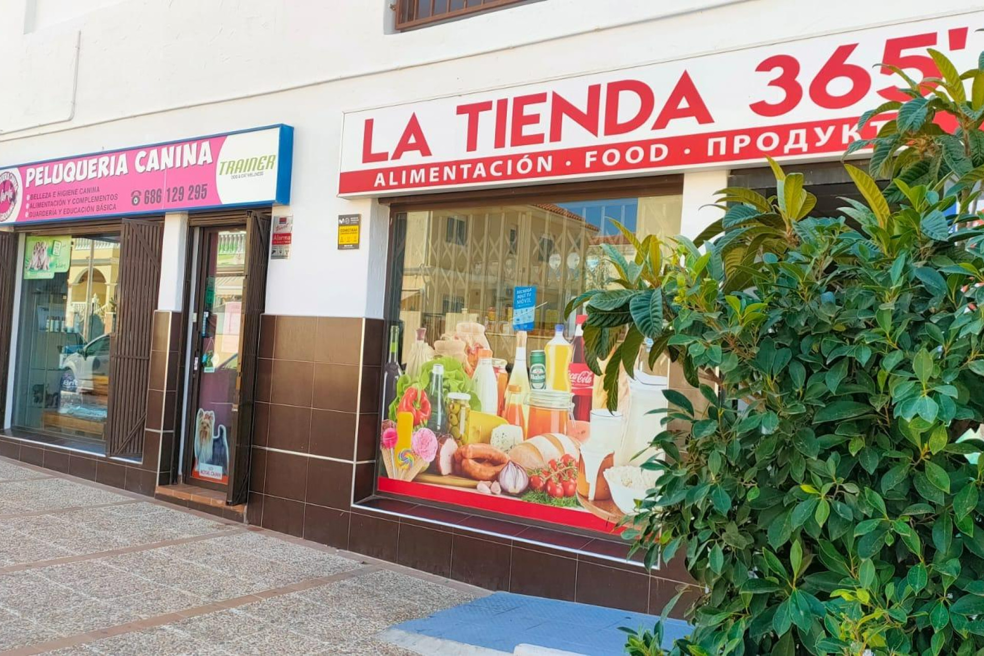 Resale - Commercial - Torrevieja - Aguas Nuevas 1