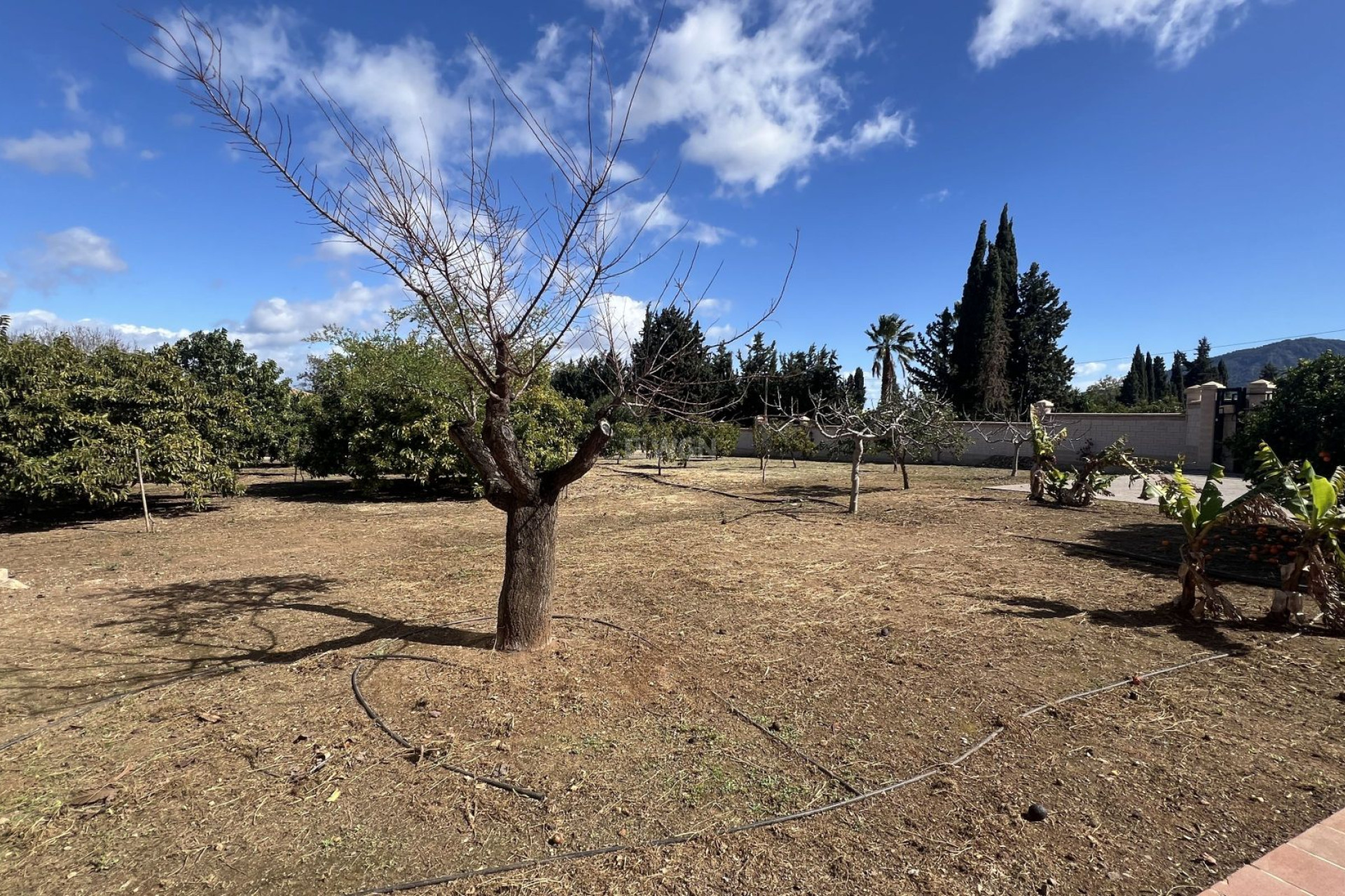 Resale - Country House - Alhaurín de la Torre - Inland