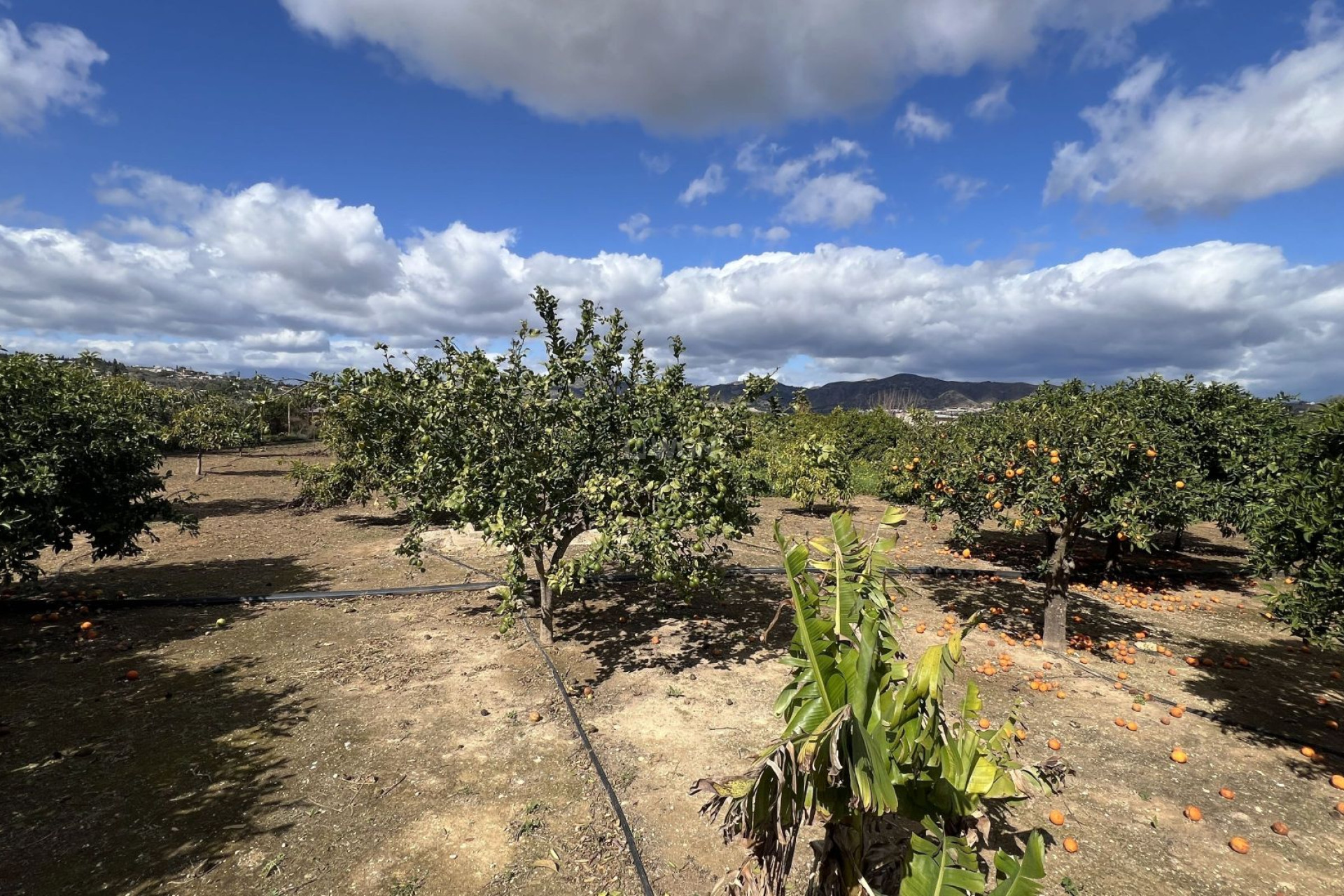 Resale - Country House - Alhaurín de la Torre - Inland