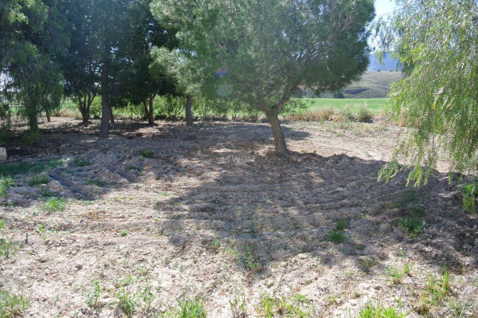 Resale - Country House - Jumilla - Inland