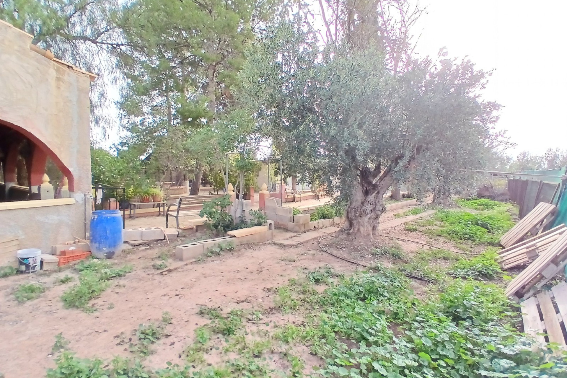 Resale - Country House - Jumilla - Inland