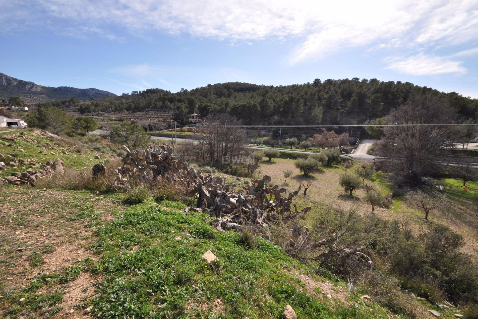 Resale - Country House - La Zarza - Inland