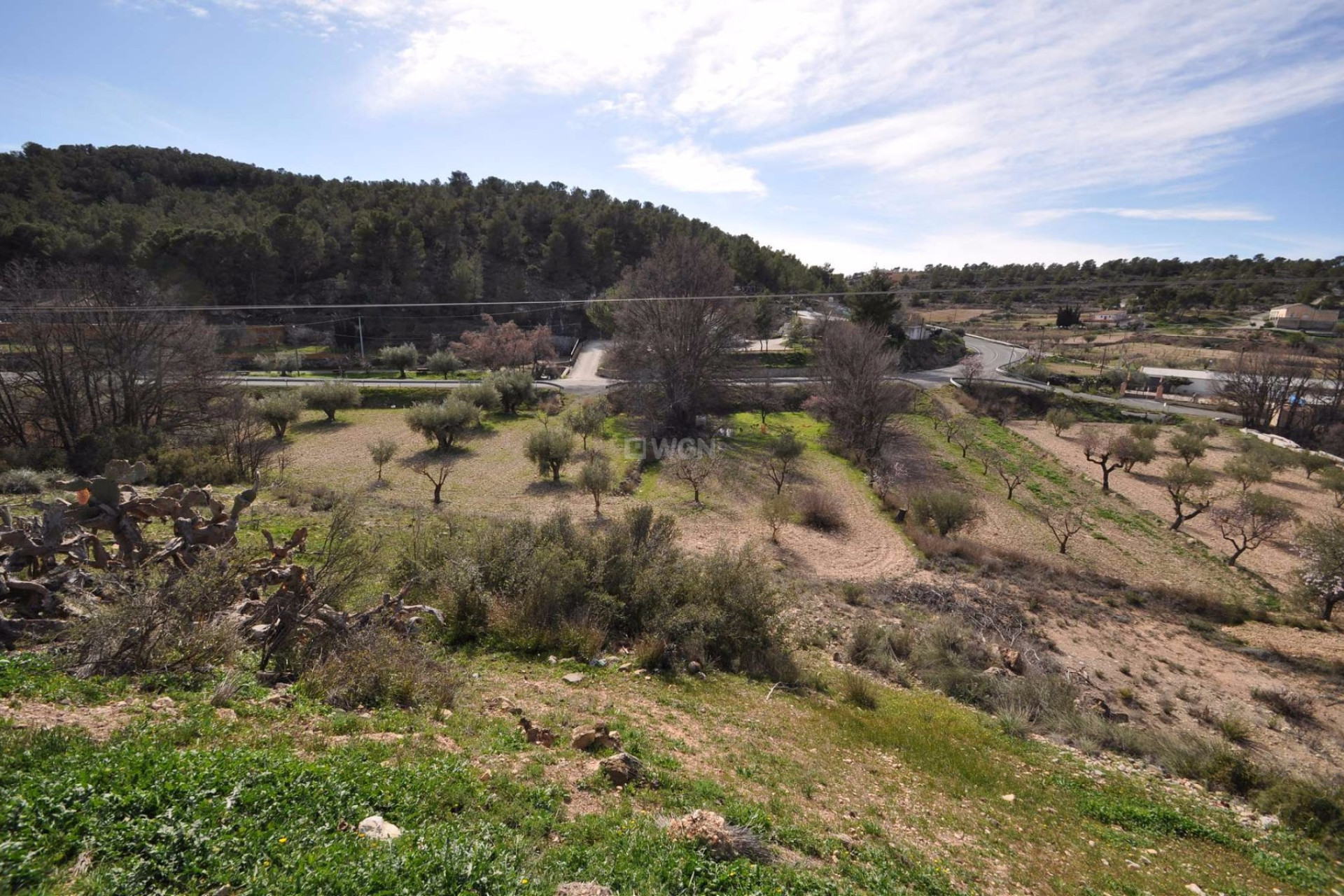 Resale - Country House - La Zarza - Inland