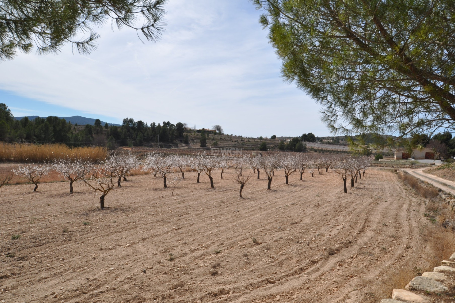 Resale - Country House - Monóvar/Monóver - Inland