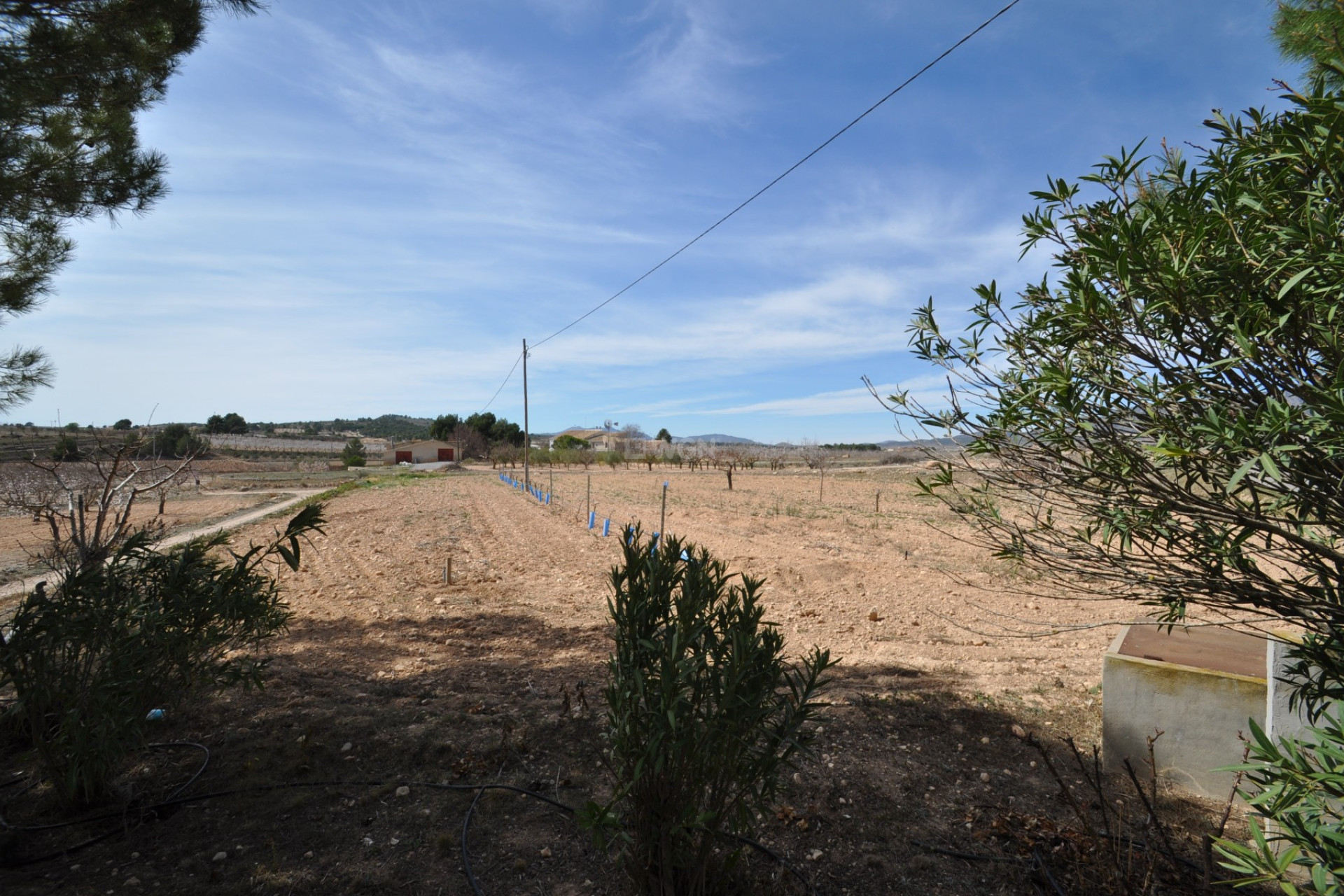 Resale - Country House - Monóvar/Monóver - Inland