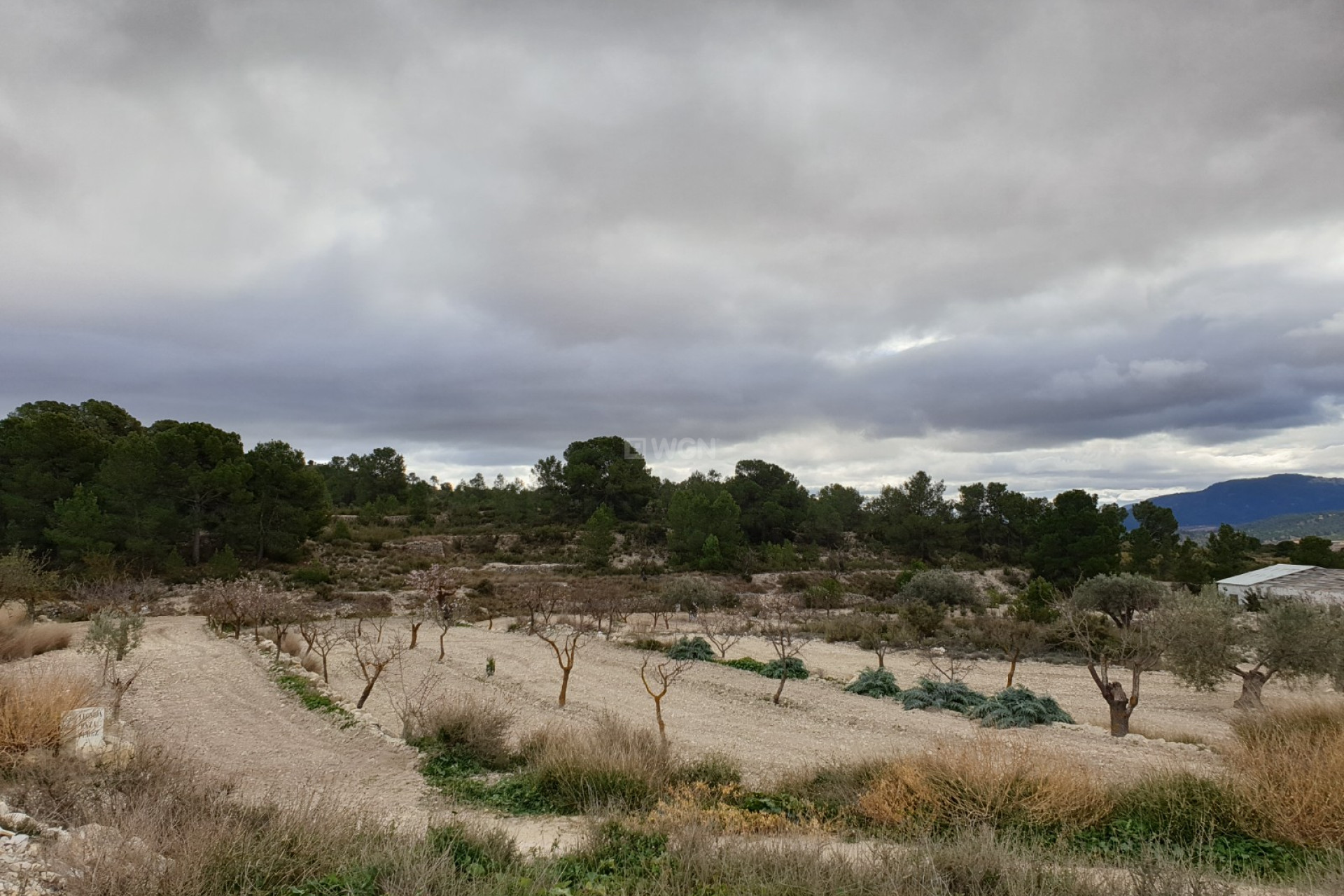 Resale - Country House - Monóvar/Monóver - Inland