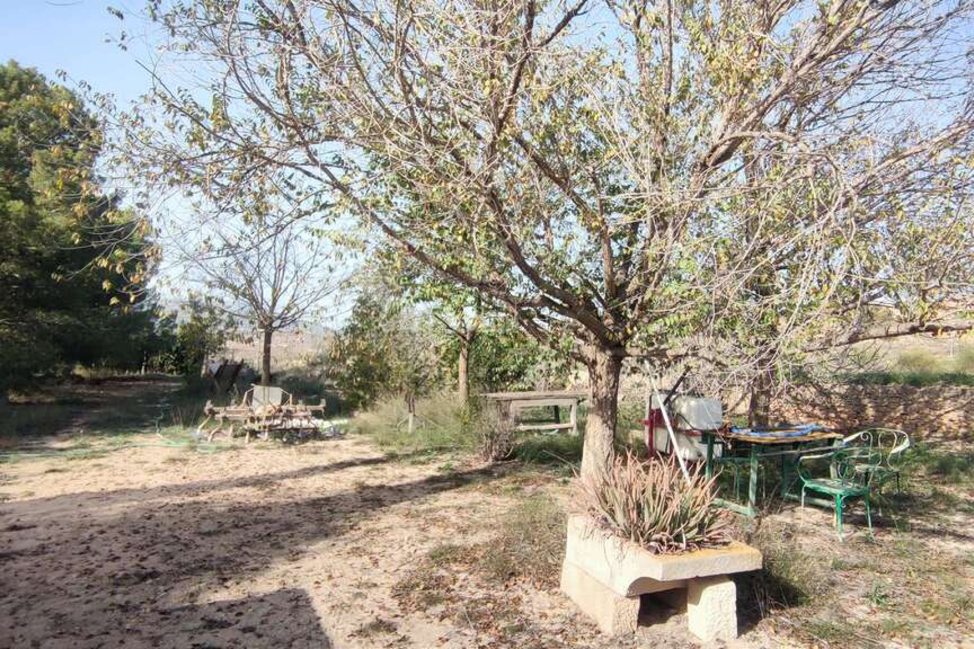 Resale - Country House - Pinoso - Inland