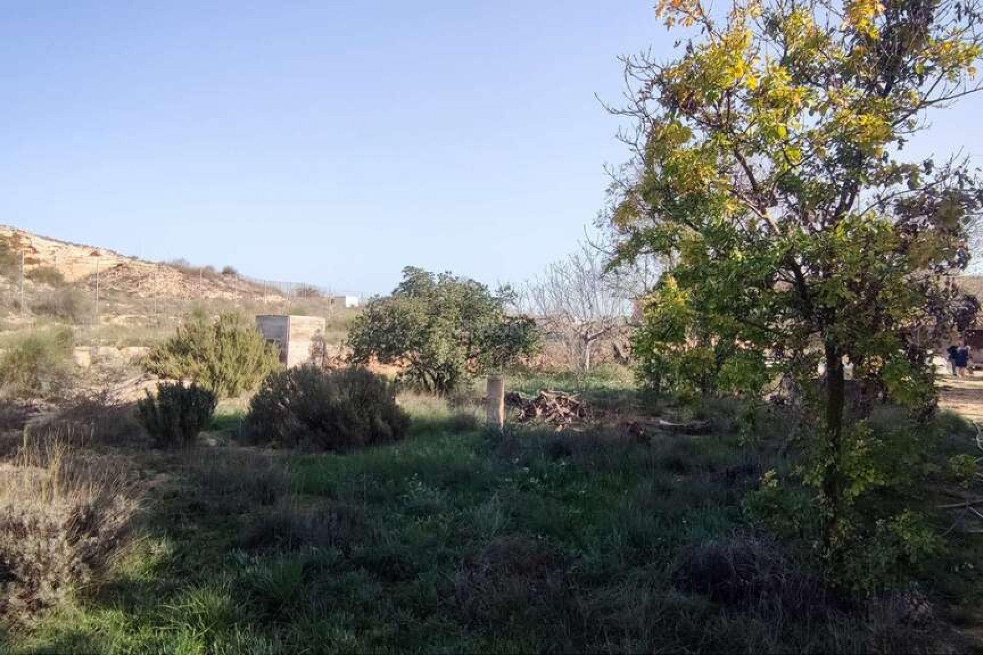 Resale - Country House - Pinoso - Inland